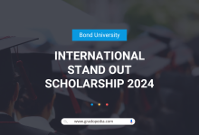 International Stand Out Scholarship 2024