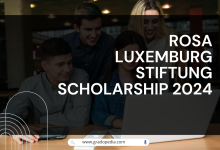 RosA Luxemburg Stiftung Scholarship 2024