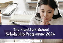 The Frankfurt School Scholarship Programme 2024
